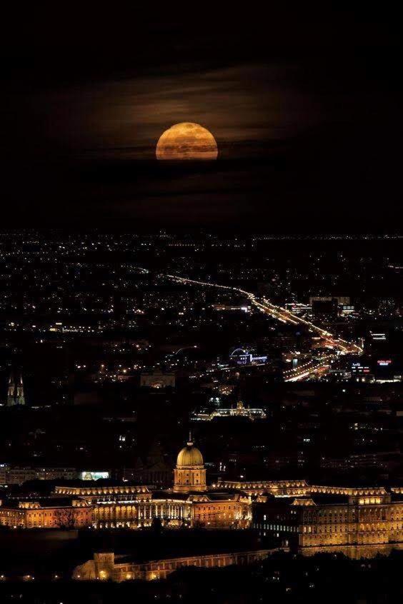 Artemisia Luxury Apartments Jardin Budapest Eksteriør bilde